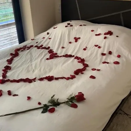 Garden Secret * Strasburgo