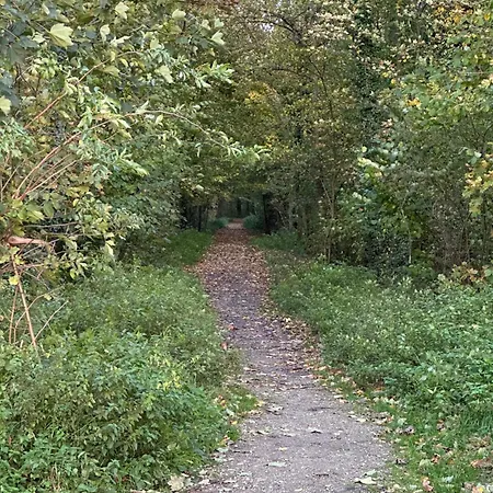 Garden Secret Strasbourg